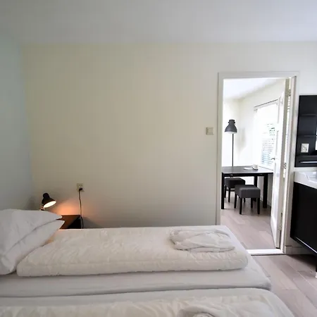 Holiday home In Near The Dunes And Sea Huisduinen