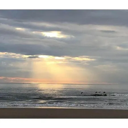 In Near The Dunes And Sea